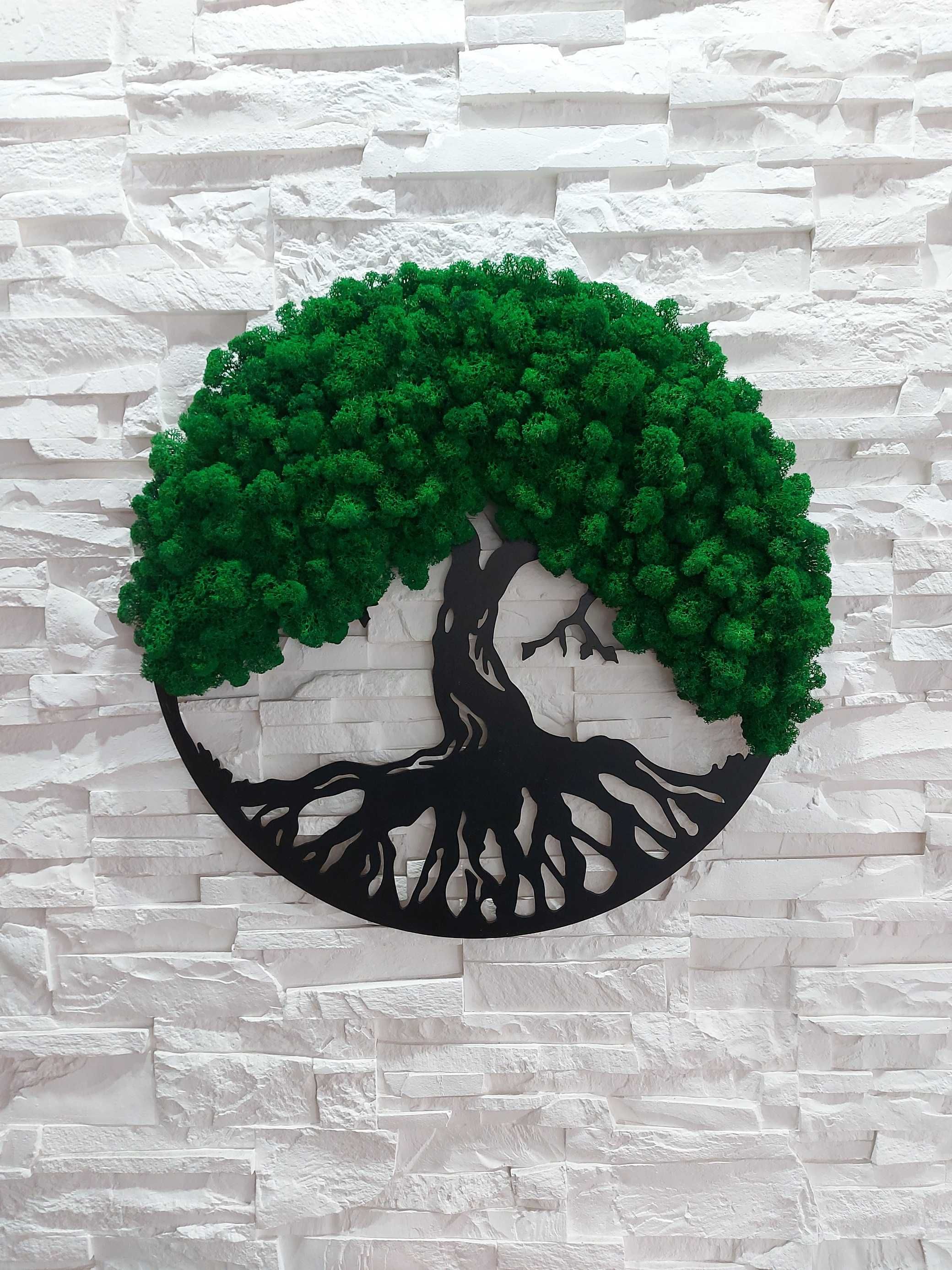 Obraz 3d,  drzewo życia, bonsai, mech chrobotek 40cm