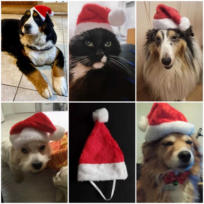 Новорічна шапка для собак. Костюм для собак.Новогодняя шапка для кота