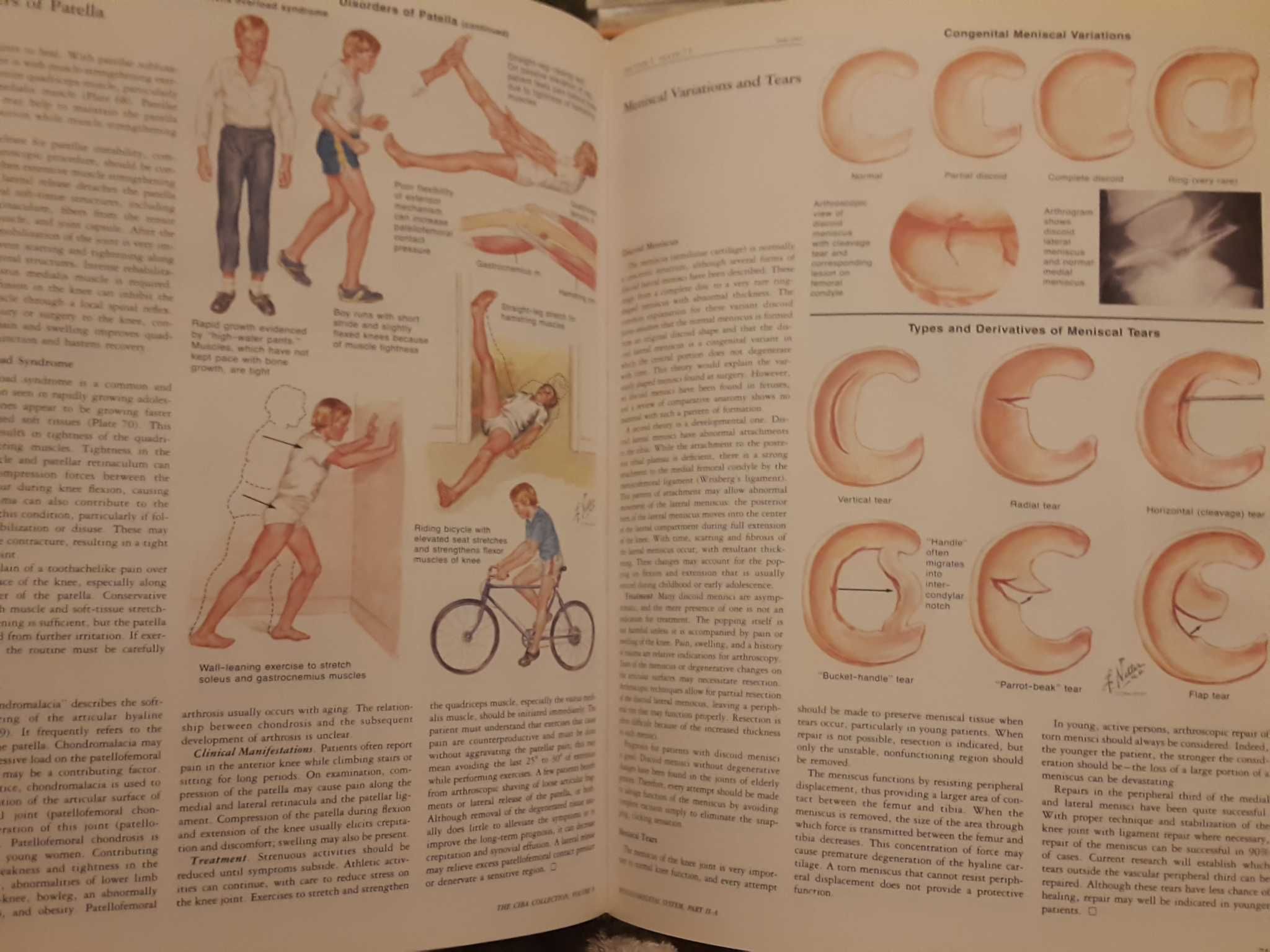 Ciba Collection of Medical Illustration - 8. Musculoskeletal System