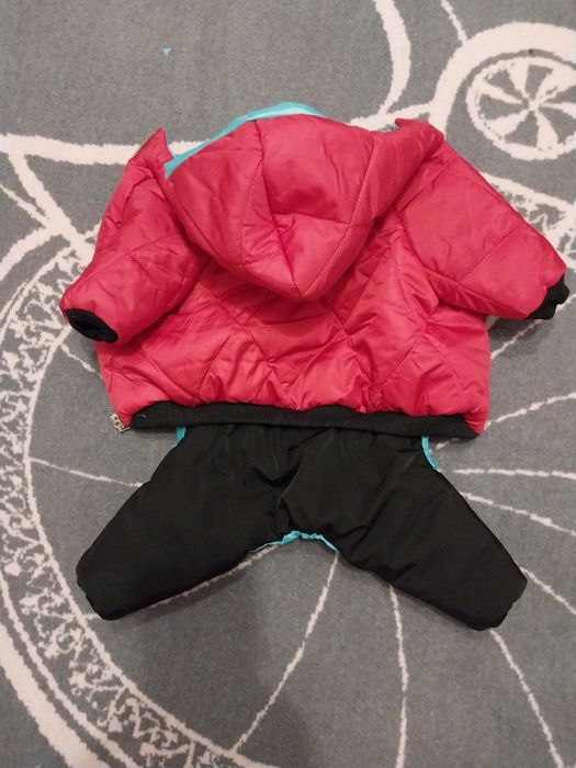 Одежда для маленьких собак