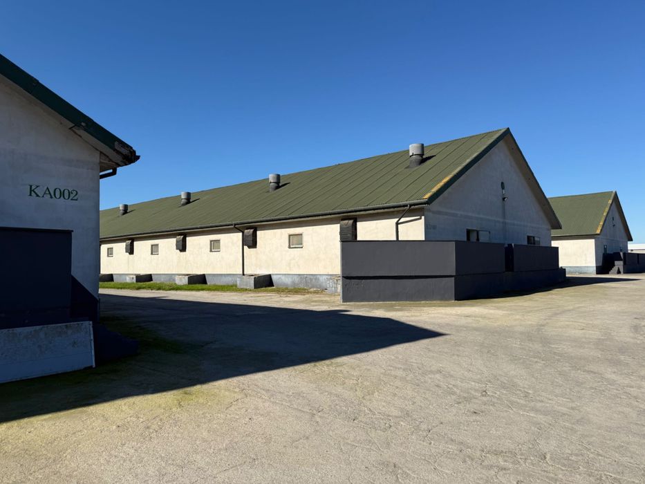 Budowa chlewni, kurnika, obory + wyposażenie pod klucz