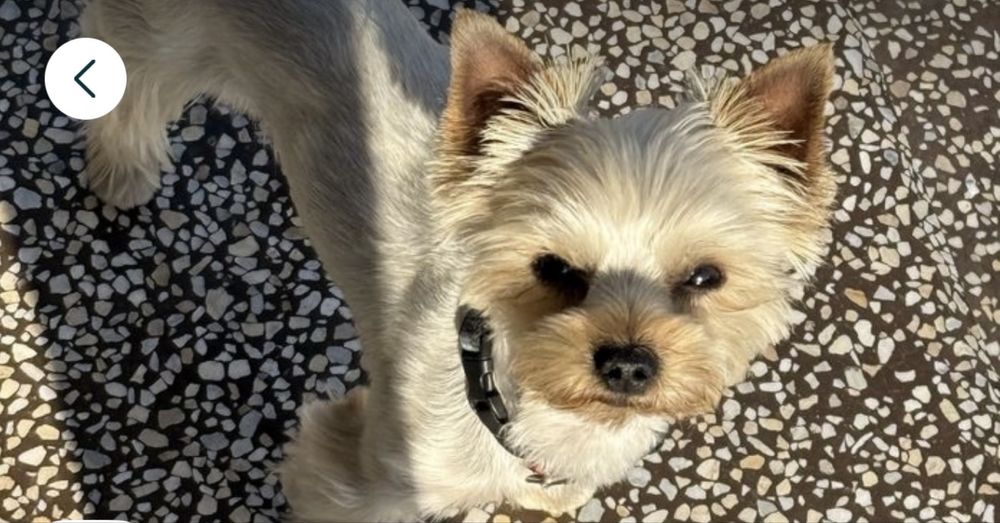 Вʼязка. Хлопчик з маленькою вагою чекає на дівчинку.