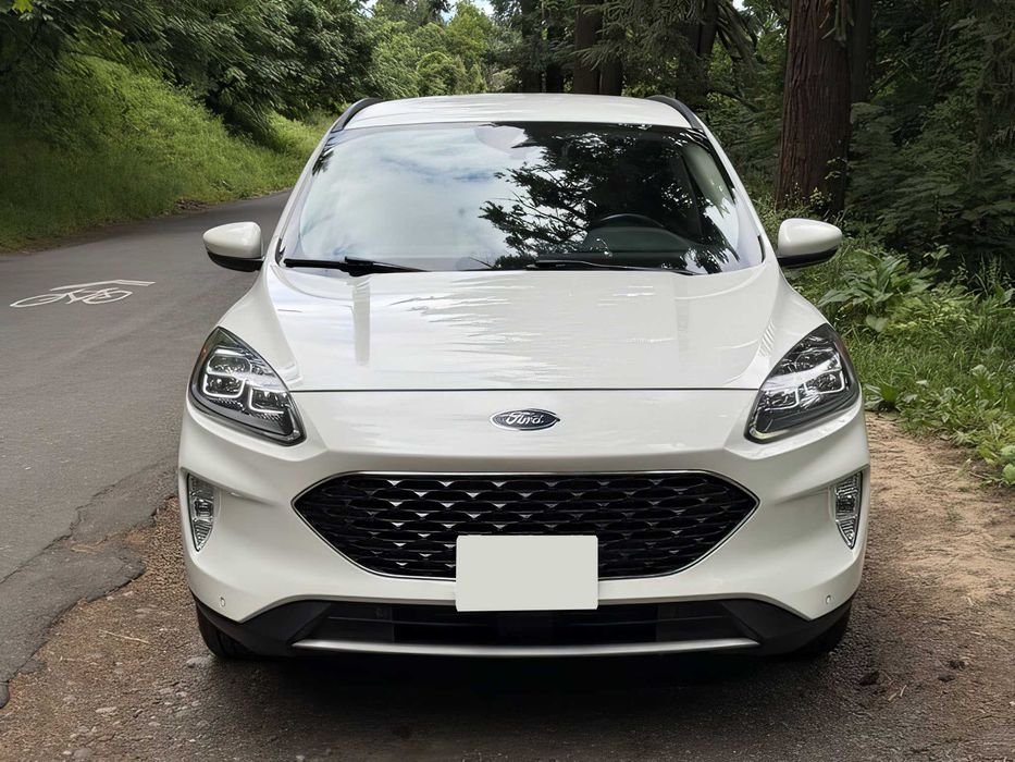 Ford Escape      2020