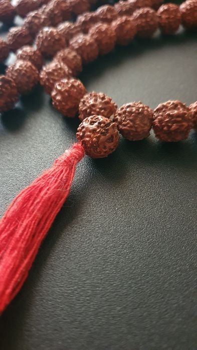 Japamala Rudraksha