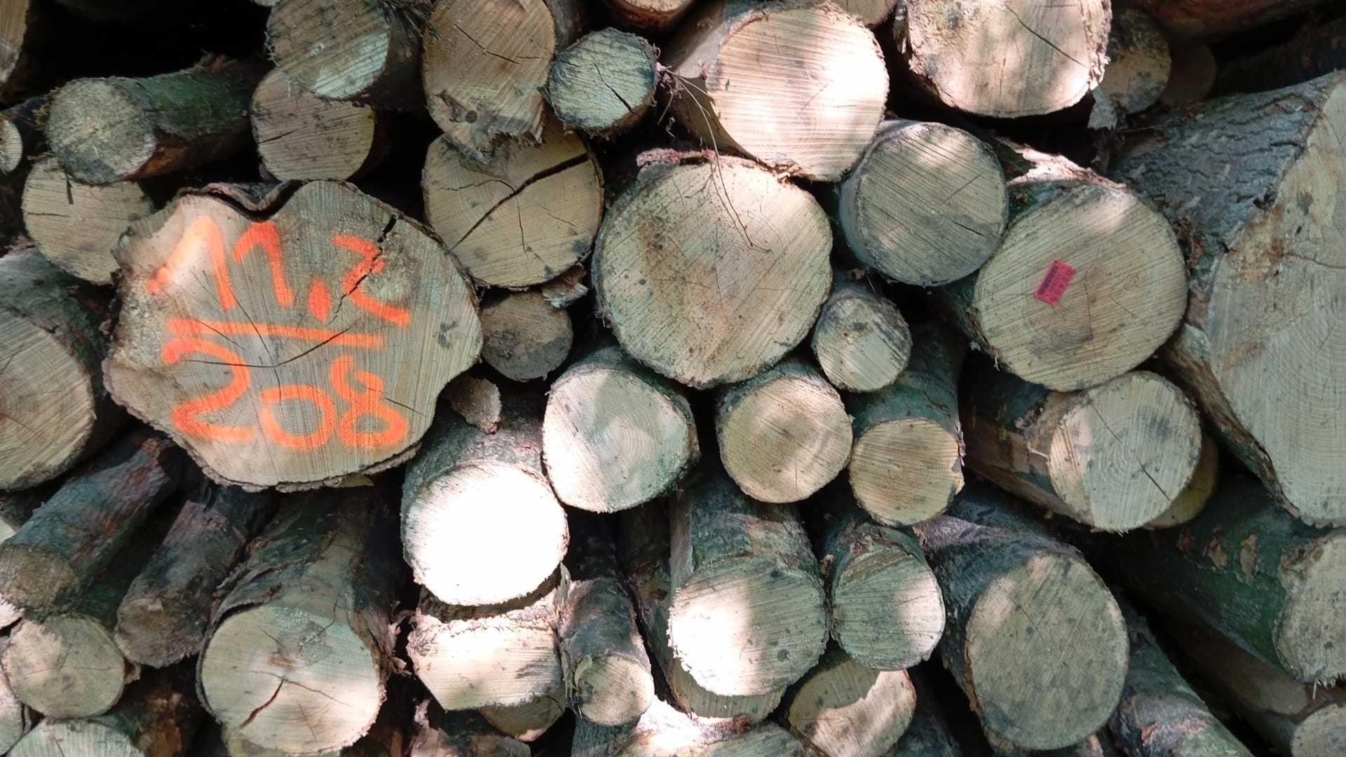 drewno opałowe, kłody - buk, jesion, dąb