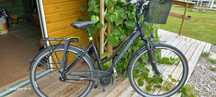 Rower trekkingowy  kross damski