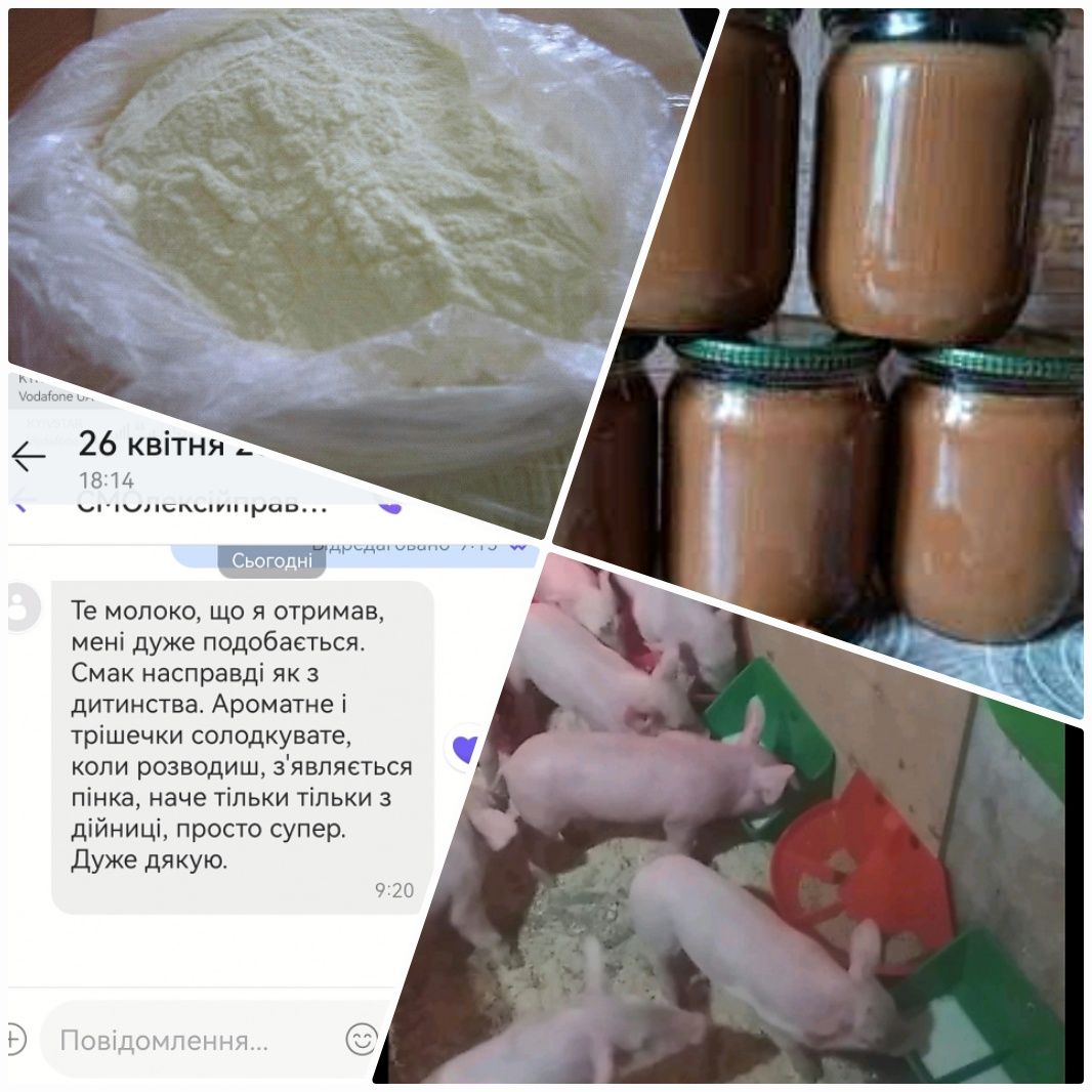 Сухе молоко ГОСТ (ДСТУ) для згущонки,сир, др продукт,дітям, тваринам