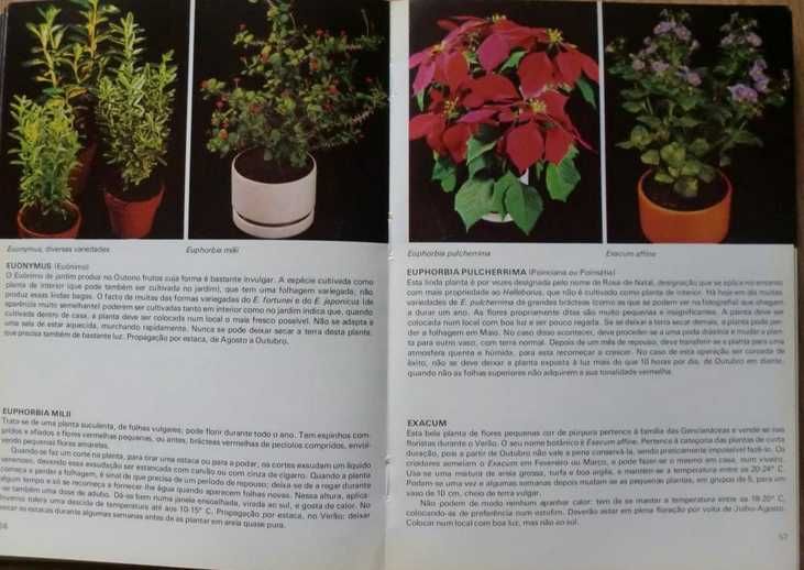 Plantas de Interior - Rob Herwig