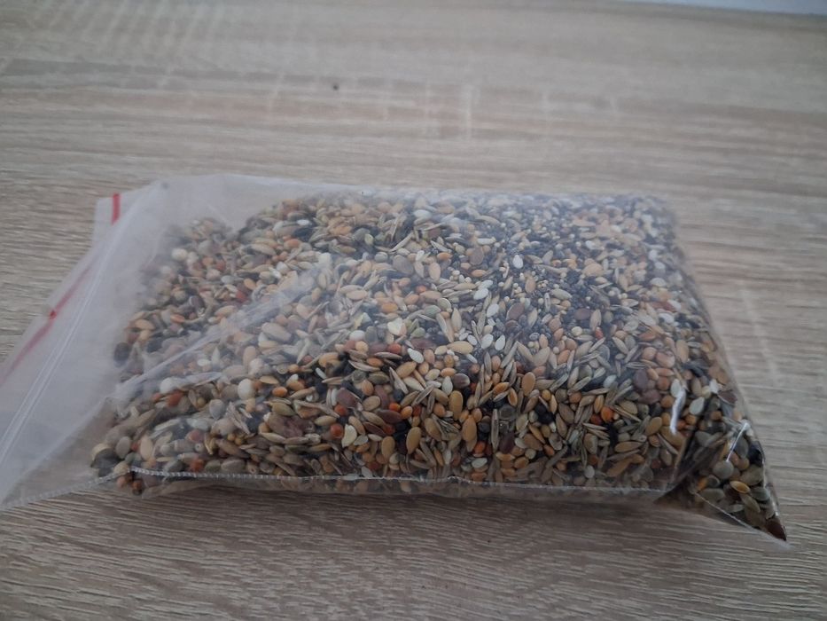 Nasiona dla mrówek Messor Barbarus Pokarm 100ml
