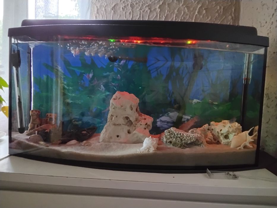 Sprzedam akwarium 120l.