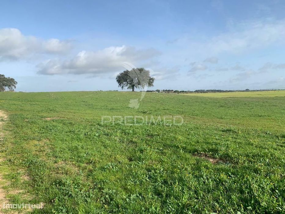 Herdade  27 Hectares
