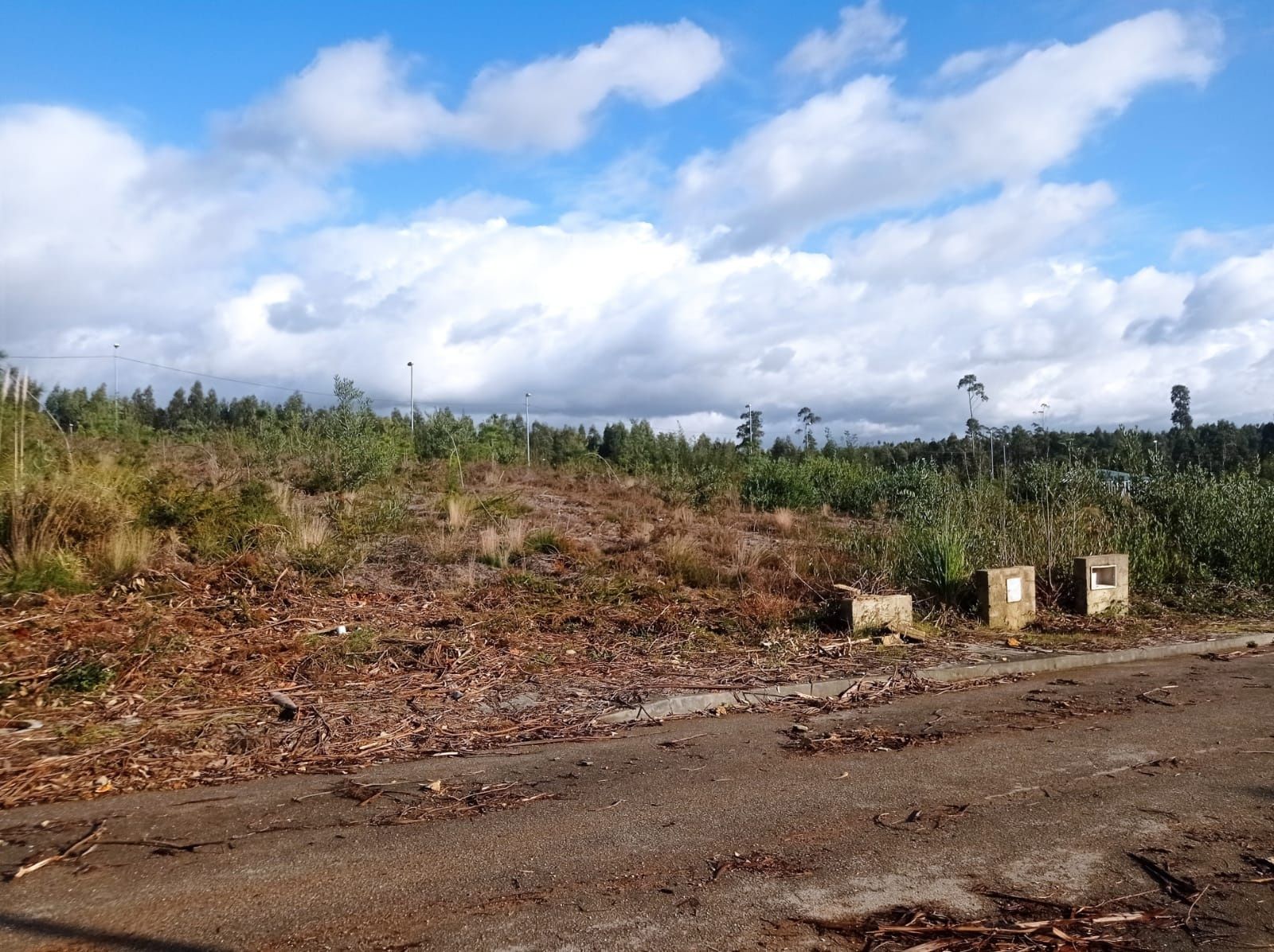 Terreno para construção Valongo do Vouga-Agueda