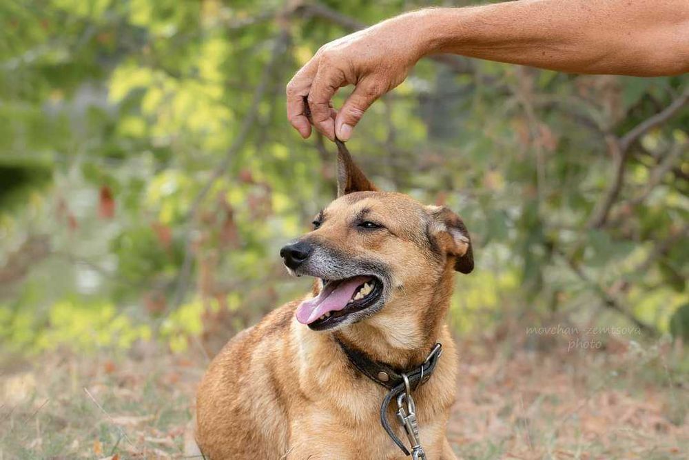 Джесі шукає родину