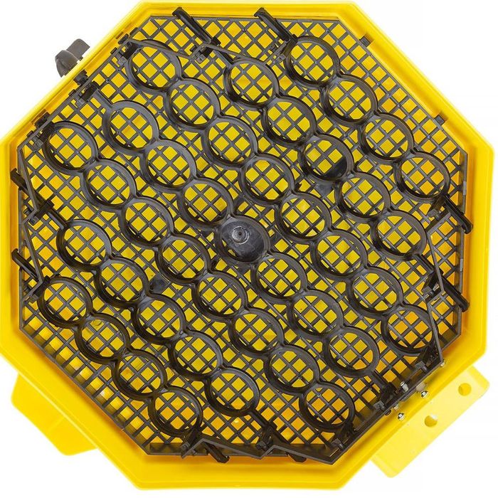 Inkubator do jaj iBator Home AUTO z silnikiem, automatyczny obrót jaj