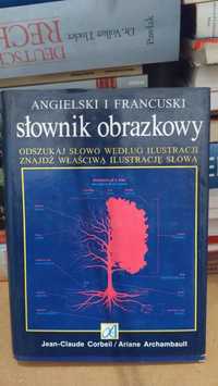 Słownik obrazkowy angielski francuski książka