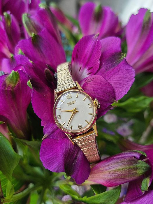 Śliczny stary zegarek mechaniczny Tissot