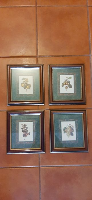 Quadros para venda em lote ou separado