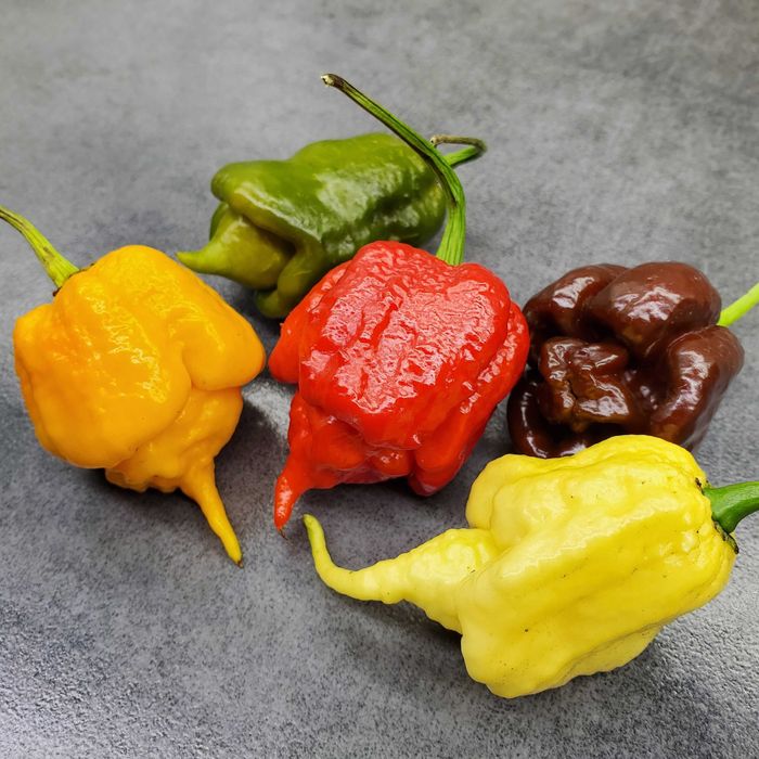 Насіння гострого перцю (Carolina Reaper, Habanero, Jalapeno та інші)