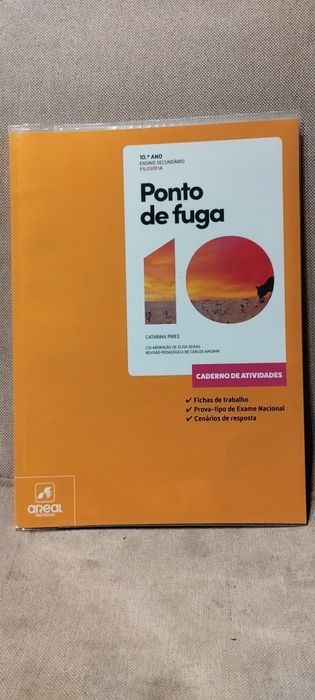 Cadernos de fichas 10 ano