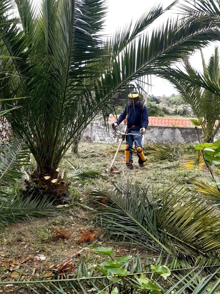 Jardinagem,limpeza terreno,quintais