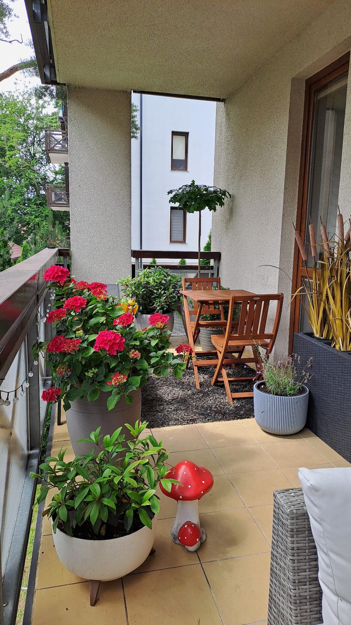 Apartament nad morzem. Rezydencja park Mielno