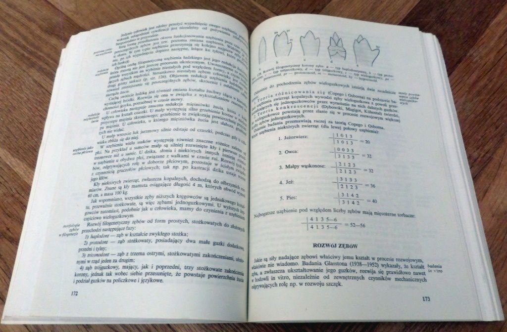 ANATOMIA GŁOWY DLA STOMATOLOGÓW 1985 wyd. V podręcznik dla dentystów