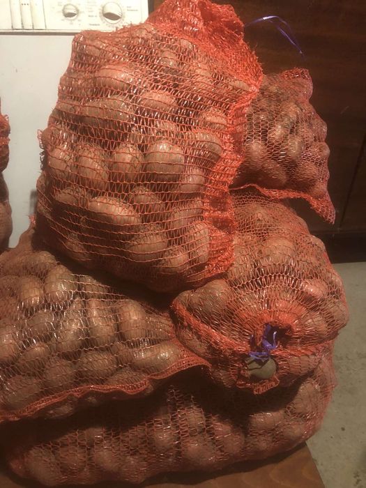 Продам картоплю велику