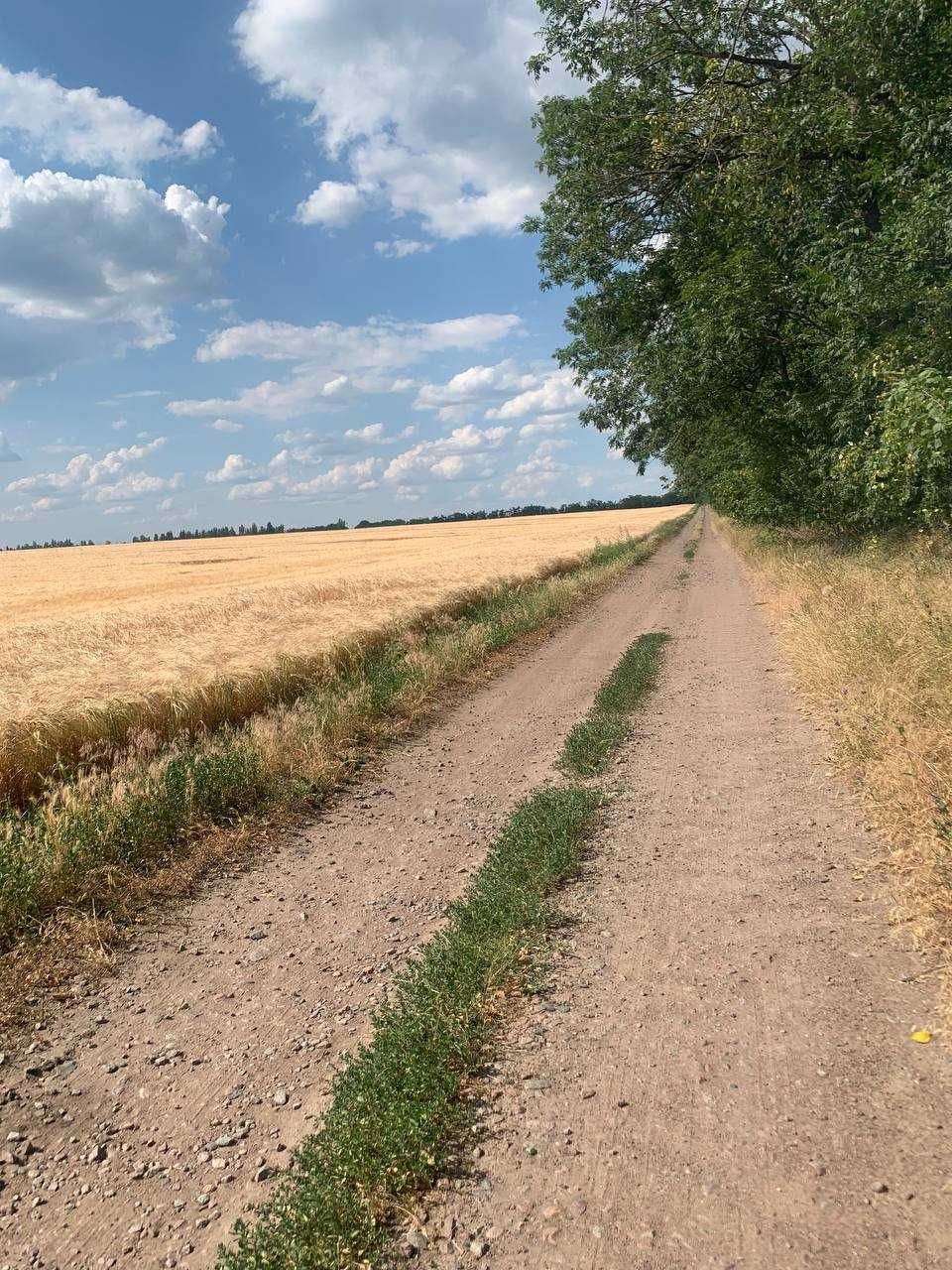 Дачна ділянка приватизована ,від   Білої Церкви -10 км..на схід.