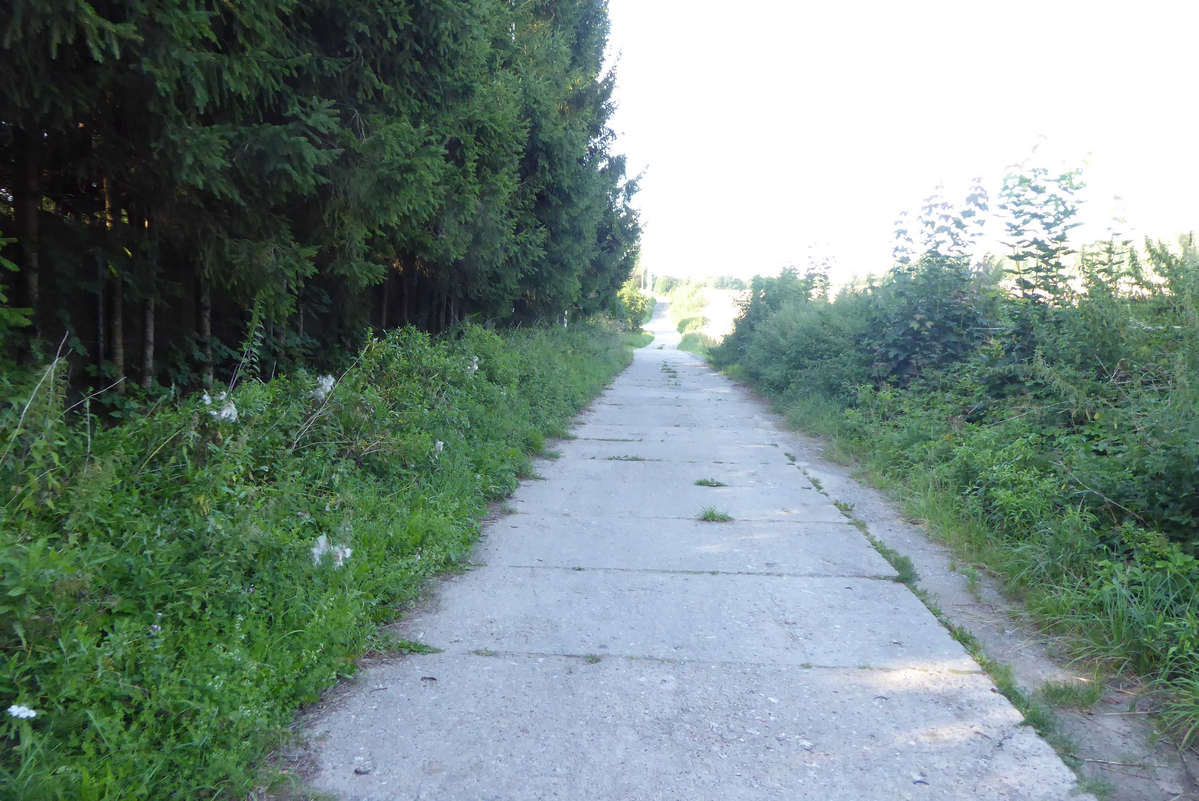 IDZBARK ul. KAMRAYÓW  , działka z warunkami zabudowy