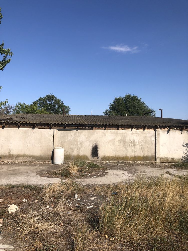 Продам ферму, сарай