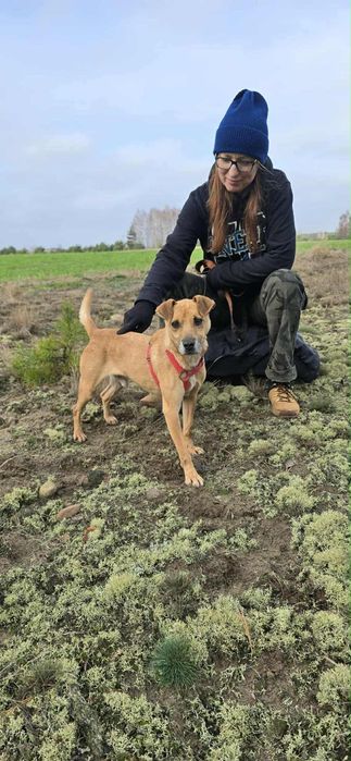 Malutki Kuśko ,szuka domu.