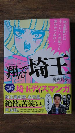 Manga Tonde Saitama yaoi bl Maya Mineo japoński