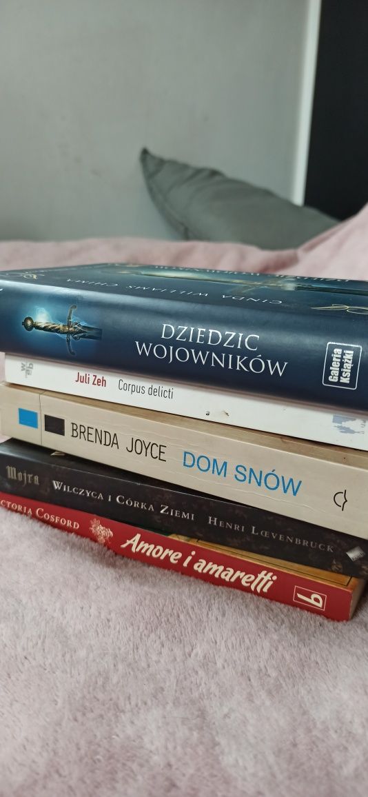 5 książek fantasy, romans, thriller. Dom snów, dziedzic wojowników