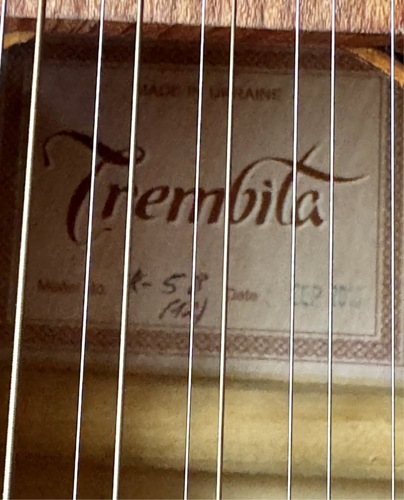 Guitara / Kobza eletroacústica 12 cordas Trembita