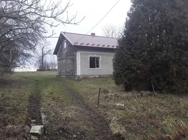 Будинок село Довге Дрогобицький р-н