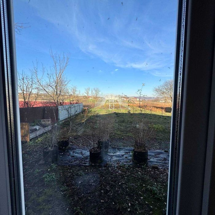 Продається домогосподарство у селі Вільшаниця (Івано-Франківська обл.)