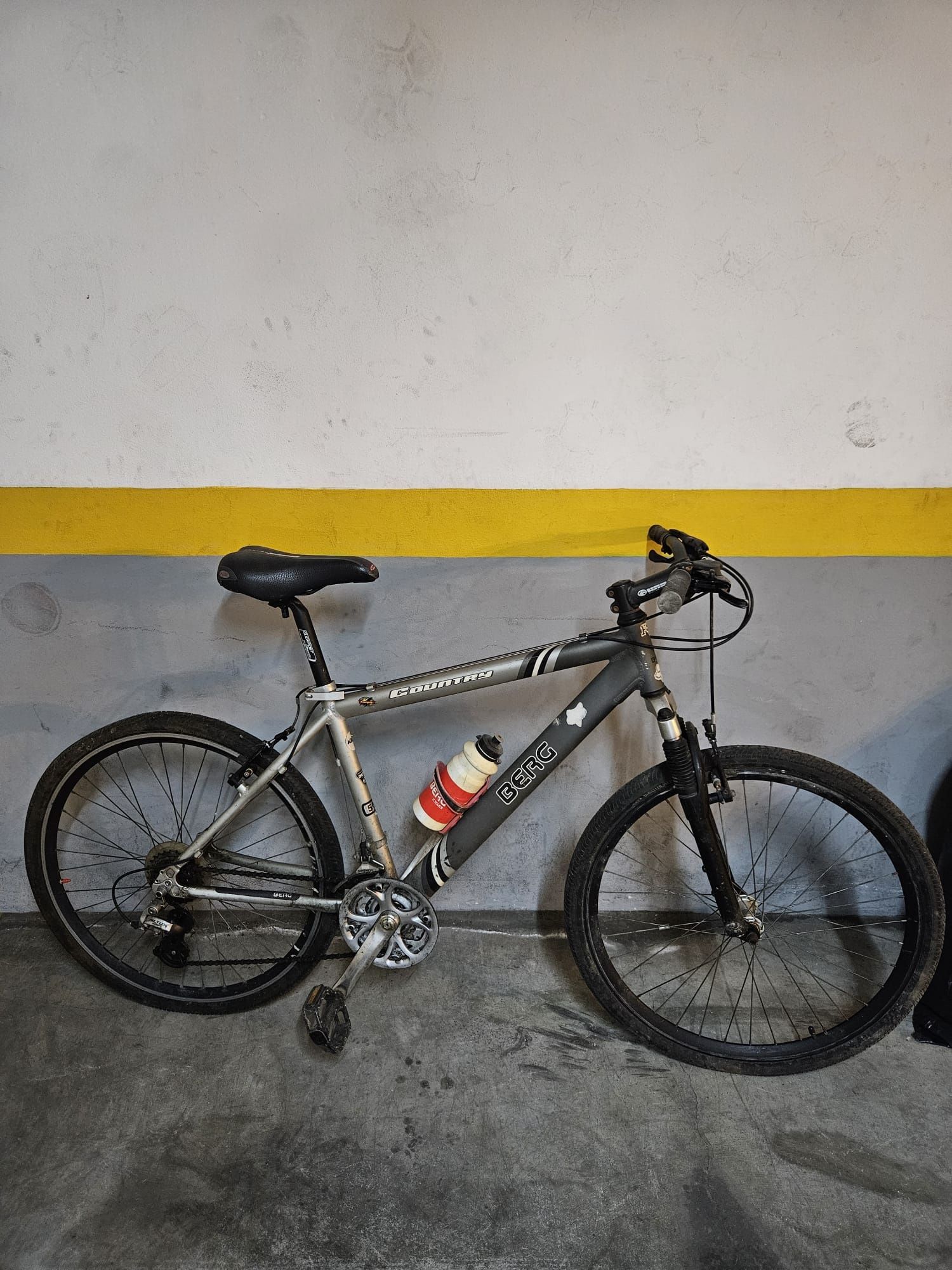 Bicicleta juvenil Berg