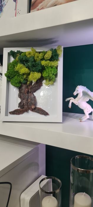 Żywy obraz mech chrobotek reniferowy. Ramka