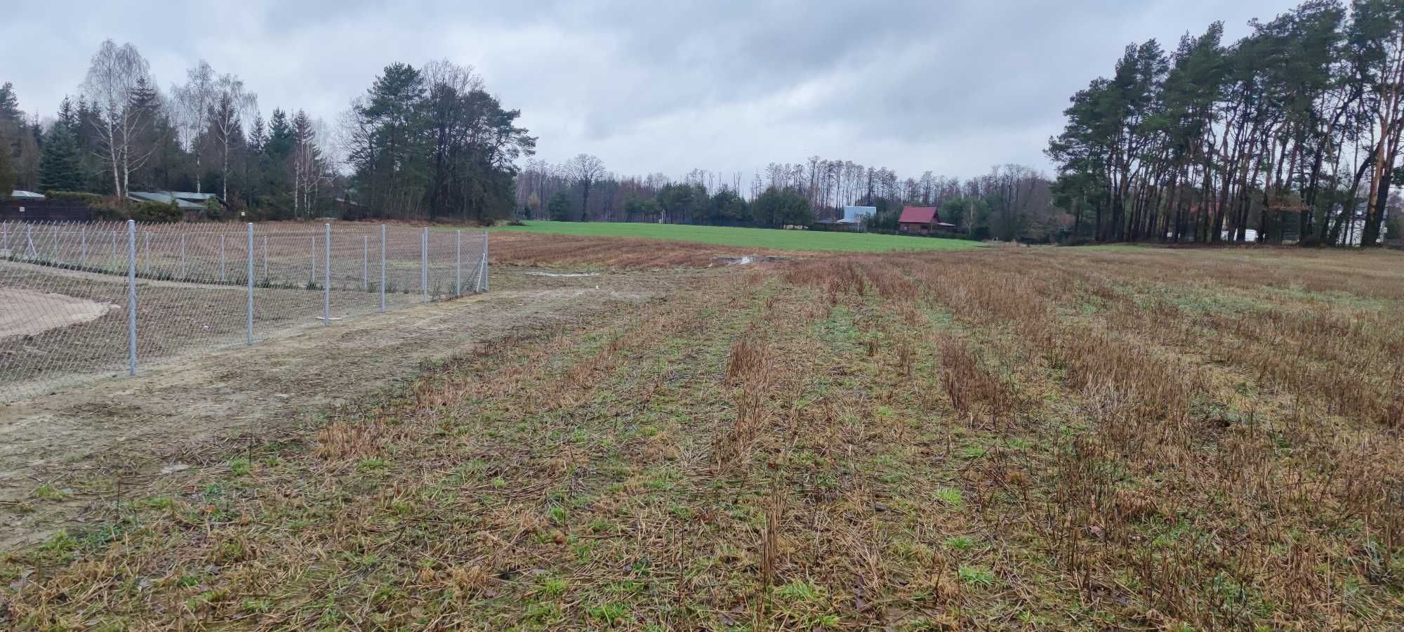 Działka rolno-letniskowa na Holendrach gm. Zatory pow. pułtuski