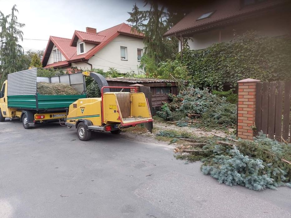 wycinka drzew karczowanie rębak skup drzew na pniu podnośnik koszowy