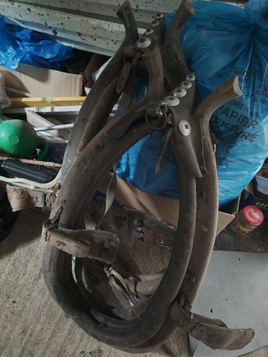 Chomąto dla konia ozdoba