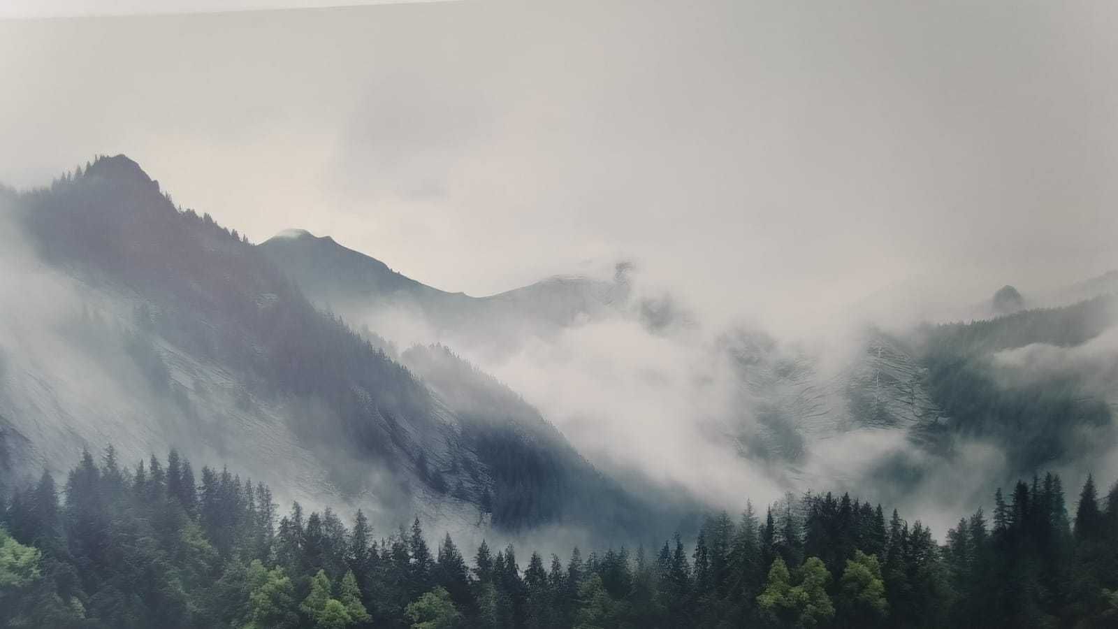 obraz drukowany 190 x 75 cm góry las panorama szary ciemnozielony