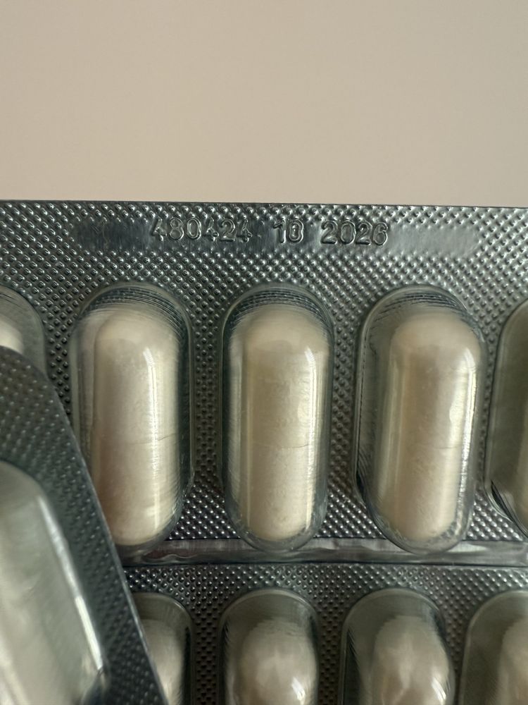 BioProtect Vet Expert kapsułki probiotyki 39tabletek pies kot