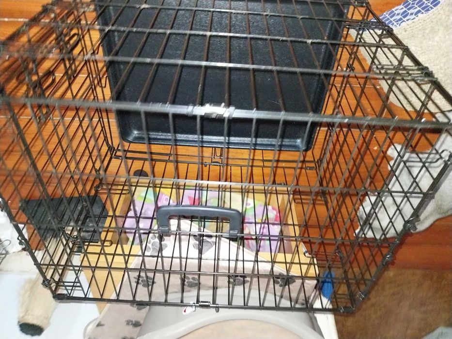 Jaula pequena - nova