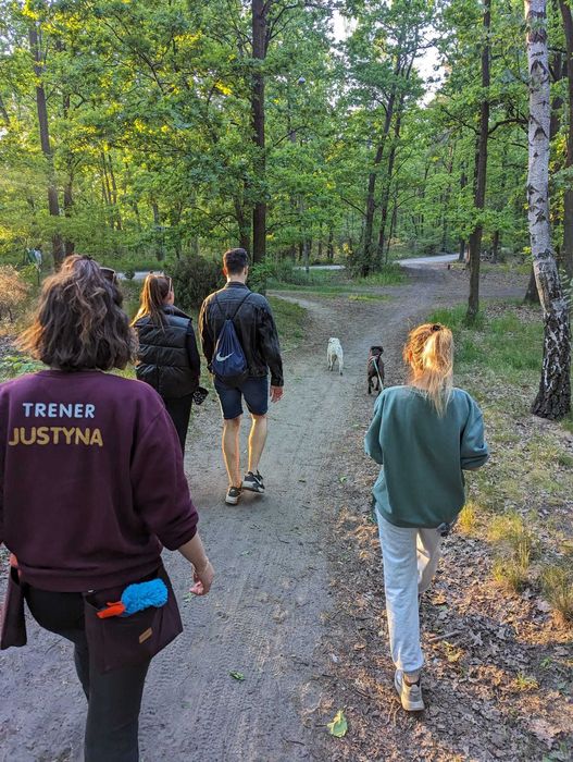 Behawiorysta psów | Szkolenie psów | Spacery socjalizacyjne | Warszawa