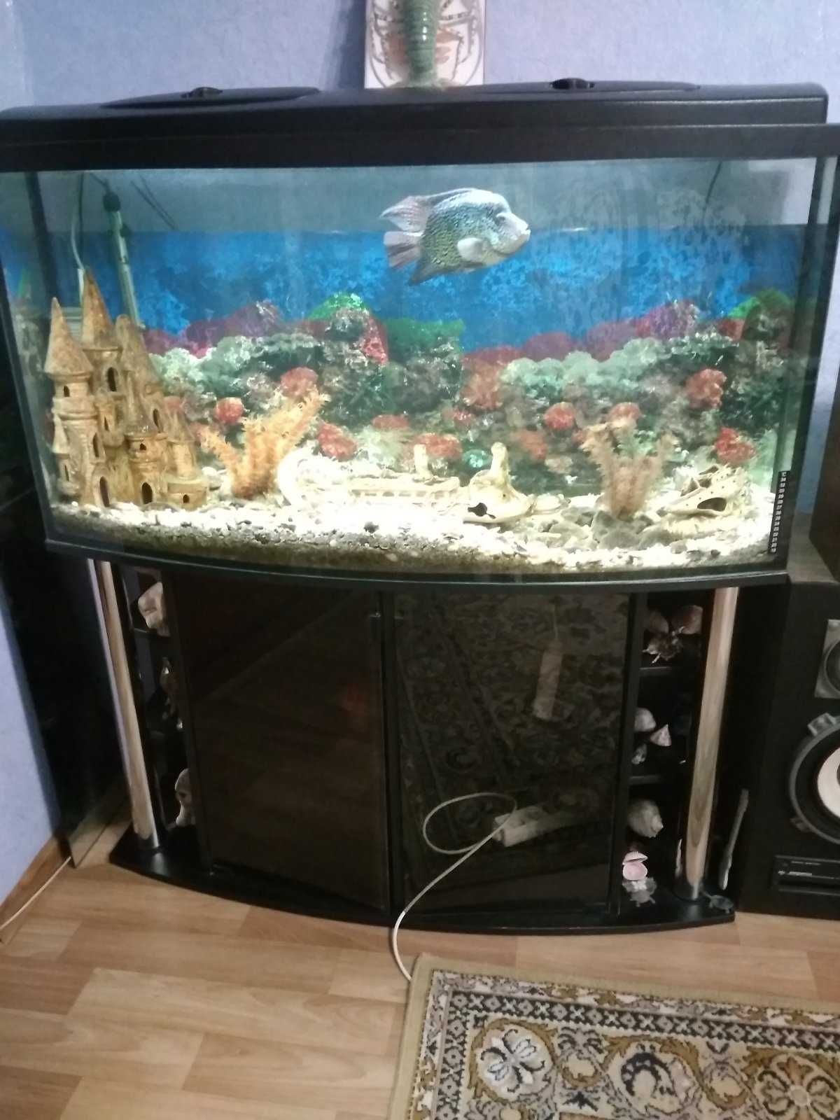 Срочно продам аквариум!!