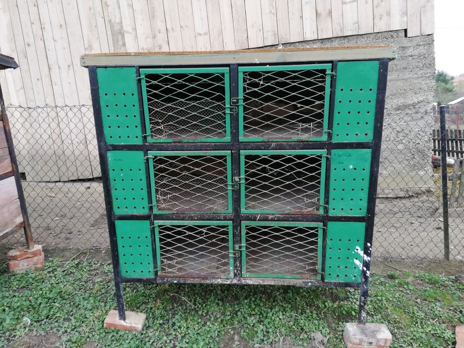 Klatki dla królików