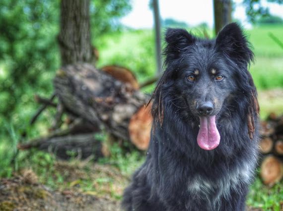 BOB MARLEY szuka odpowiedniego człowieka