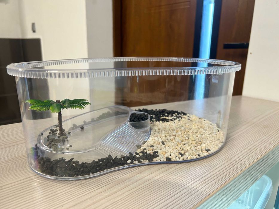 Terrarium dla żółwia lądowego greckiego i obrzeżonego