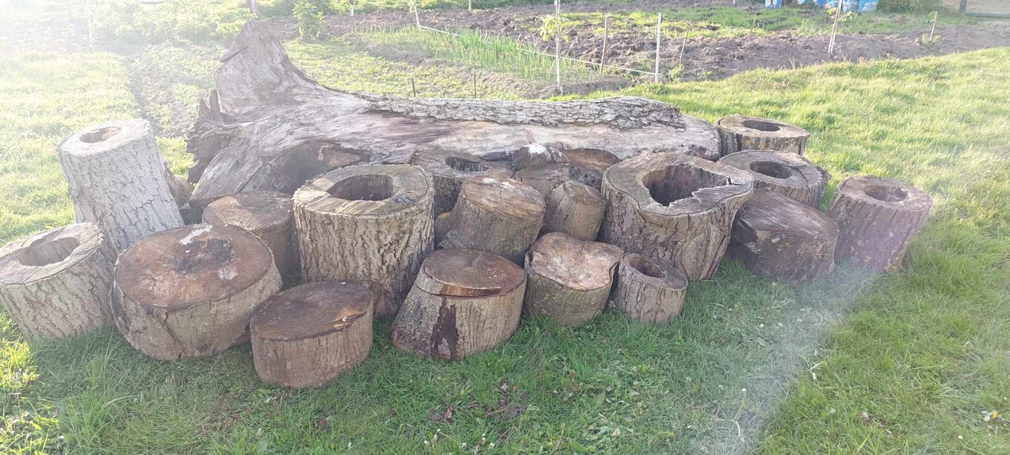 drewno orzech włoski na projekty z żywicy - sezonowane